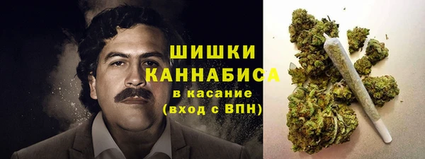соль ск Гусиноозёрск
