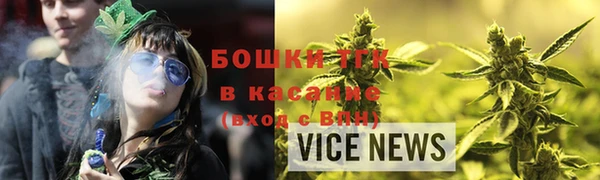 дживик Гусь-Хрустальный