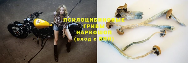 дживик Гусь-Хрустальный