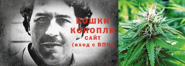 соль ск Гусиноозёрск