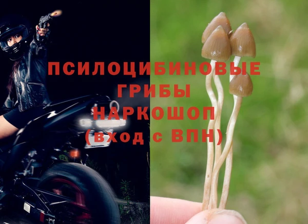 дживик Гусь-Хрустальный