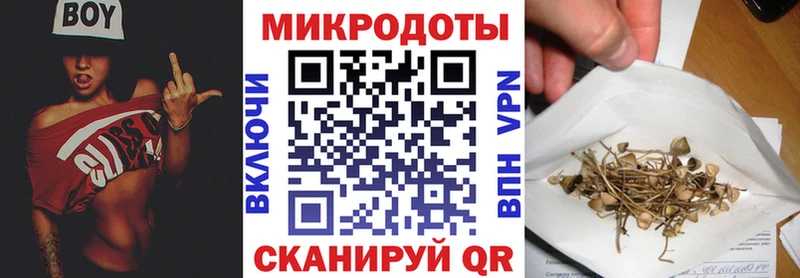 Псилоцибиновые грибы Psilocybine cubensis  Купить  Гай 